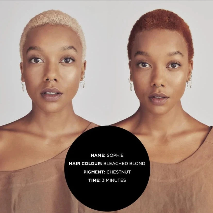 Mr. Smith Pigments Chestnut