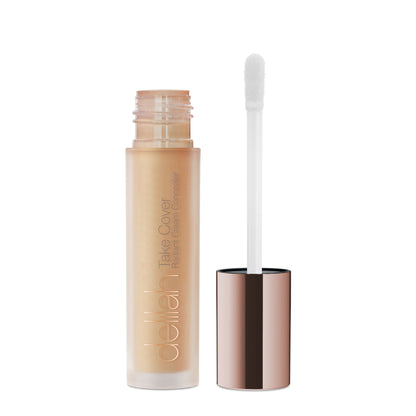 Delilah Take Cover Concealer