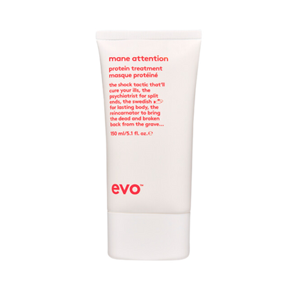 EVO Mane Attention Protein Treatment