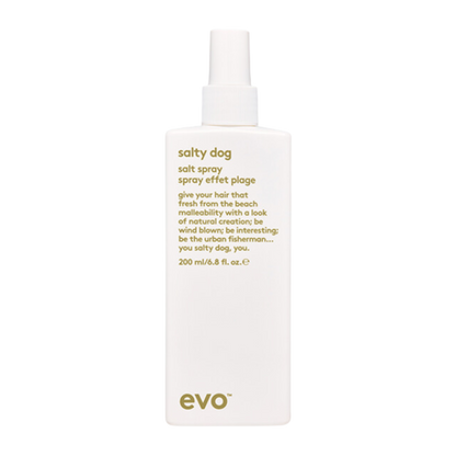 EVO Salty Dog Beach Saltspray