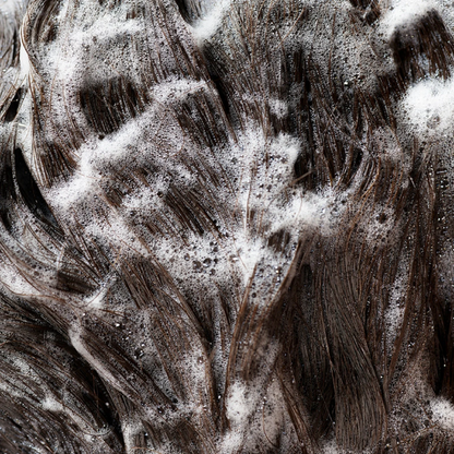 Signature Shampoo A Daily Indulgence